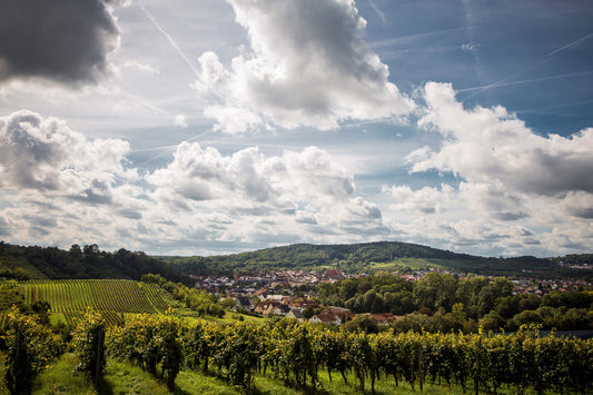 Weinberge und der Blick über ein Dorf im Kraichgau