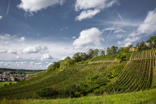 Blick auf einen Weinberg mit Kapelle und links am Rand der Ort Tiefenbach
